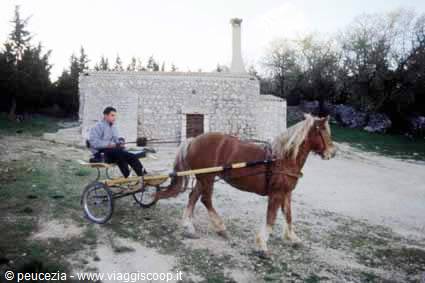 In giro per agriturismi:una masseria nelle Murge