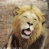 ....si annoia..... SUD AFRICA 
