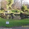 Giardini di Kyoto REGNO UNITO 