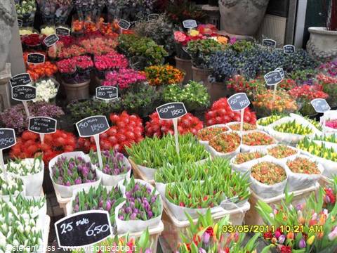 mercato dei fiori