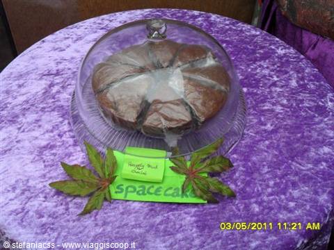 torta mooolto speziata