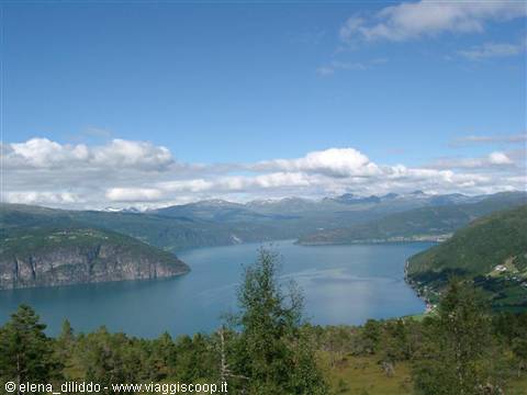 Norvegia low cost