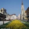 Novi Sad - piazza centrale BOSNIA E HERZEGOWINA 