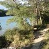 isola di Mljet: sentiero attorno al lago BOSNIA E HERZEGOWINA 