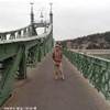 un ponte del Danubio UNGHERIA 