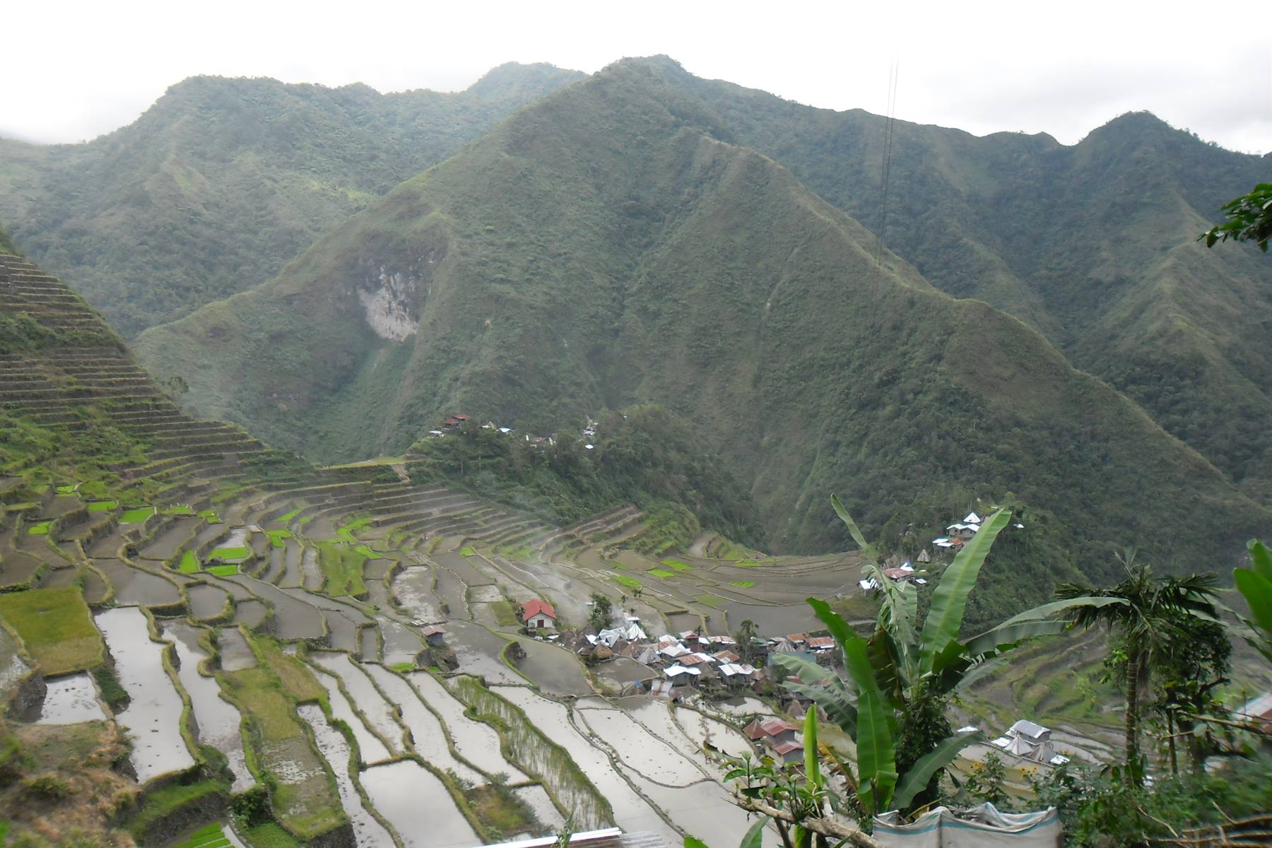 le risaie storiche di Batad a Luzon, Filippine