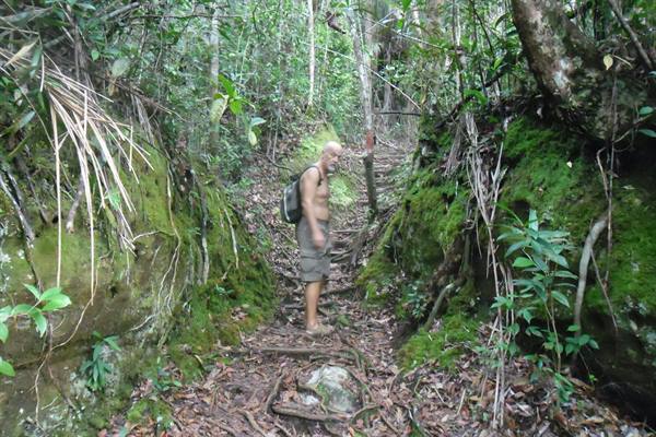 trekking nel parko Bako nei pressi di Kuching, Sarawak,Borneo malese