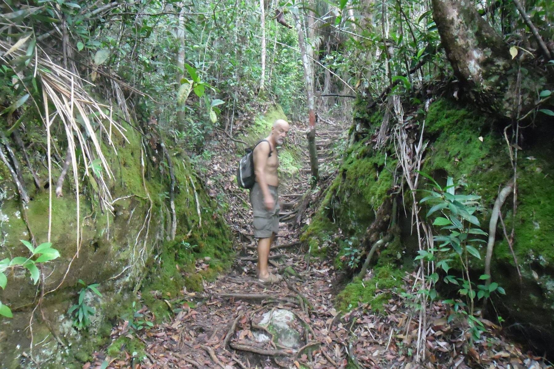 trekking nel parko Bako nei pressi di Kuching, Sarawak,Borneo malese