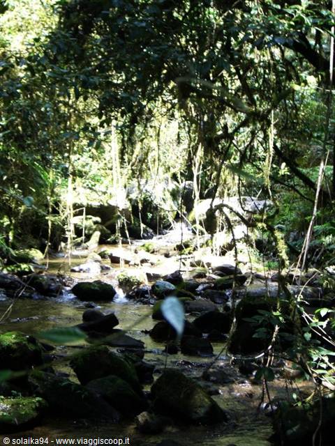 Parco Ranomafana