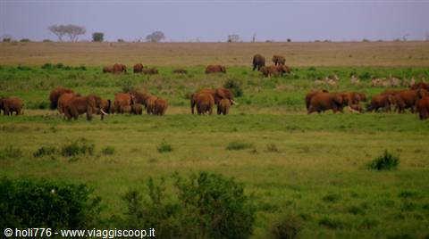 WATAMU - SAFARI - MARE -GIOVANNI IN2KENYA