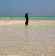 l'eleganza a fior d'acqua
