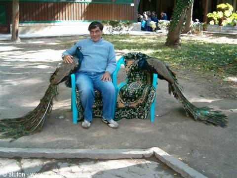 Crimea