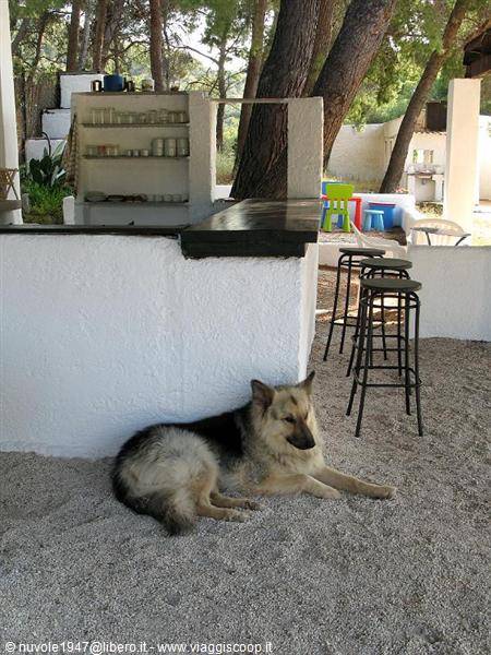 bar