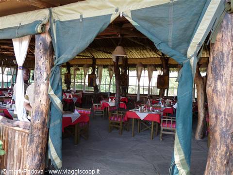 kibo camp