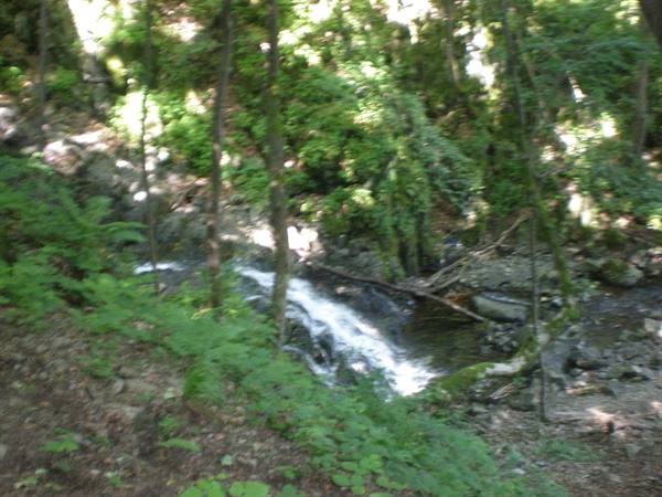 Cascata Parco Monte Vitosha 1500 m.