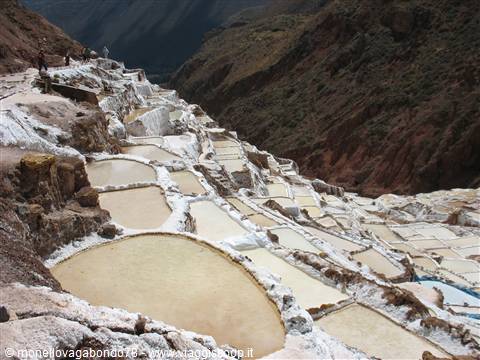 Maras