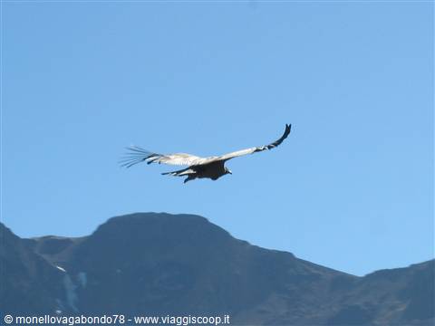 Cruz del Condor