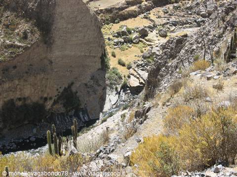 Canyon del Colca