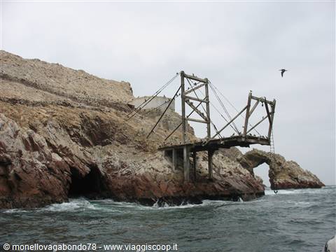 Isole Ballestas