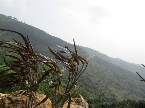 Hai Van Pass