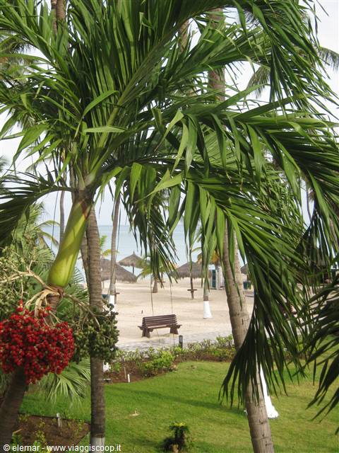 ARUBA: CHE SPETTACOLO!!!