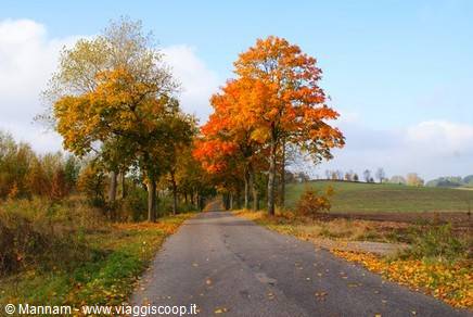 La strada per Olsztyn