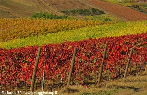 La Toscana nel cuore ...