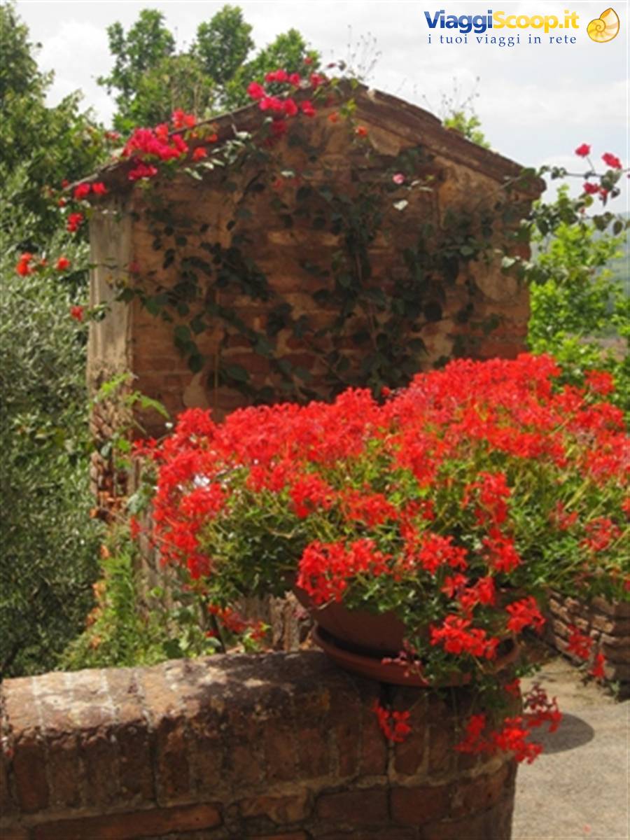 Primavera in Toscana: il pozzo in fiore del borgo medievale di Certaldo Alto (FI)