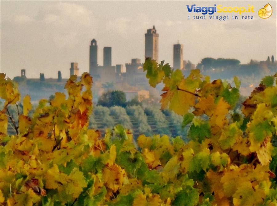 Castelli e borghi medievali in Toscana. San Gimignano (SI) fra le viti di vernaccia