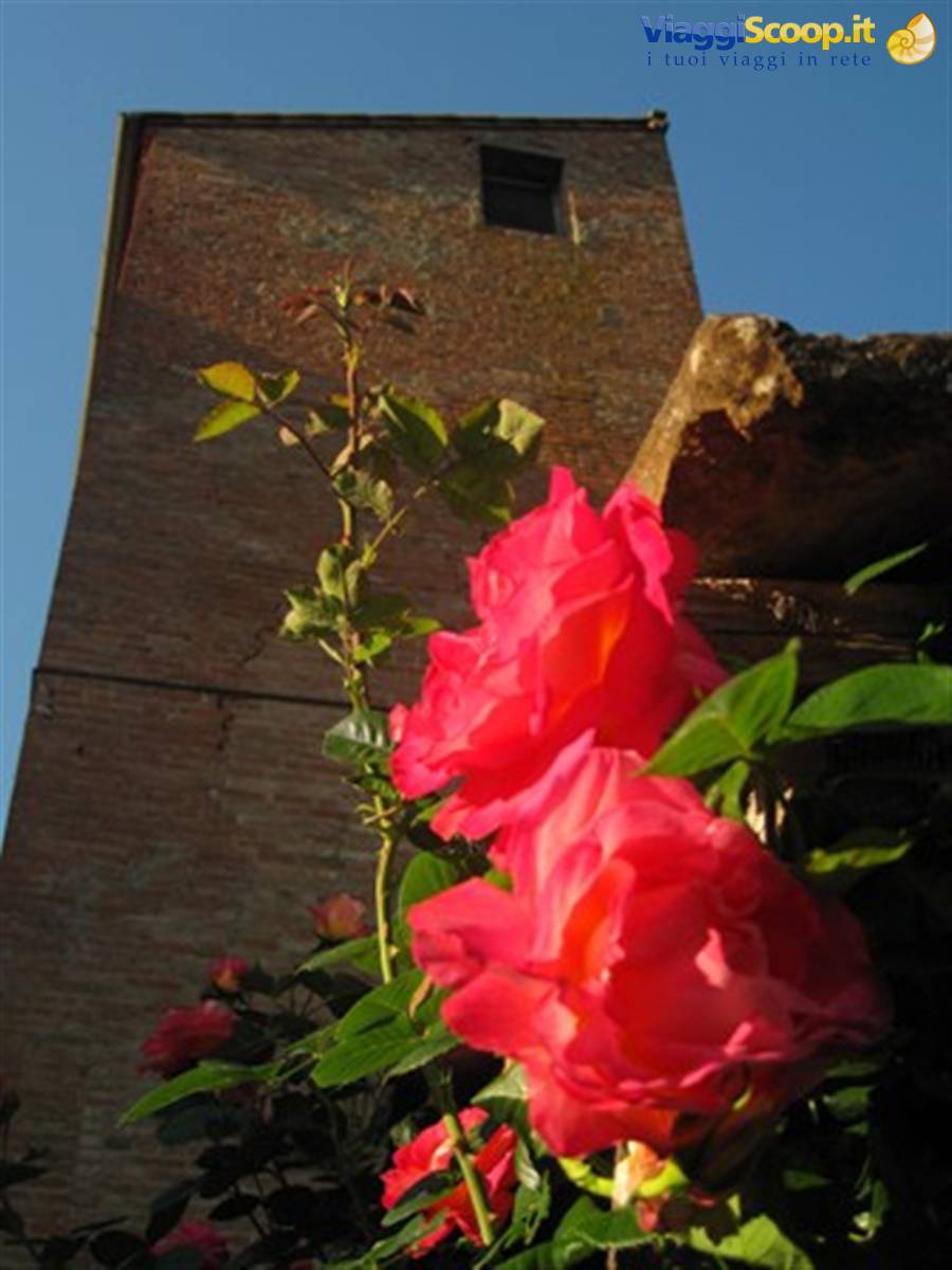 Castelli e borghi medievali in Toscana, Certaldo Alto (FI), primavera in Toscana