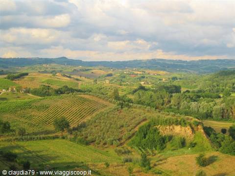 Campagna toscana a Certaldo Alto (FI) panorama di Toscana
