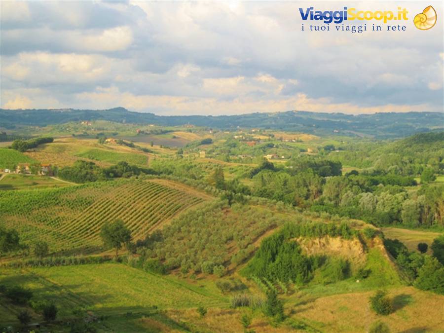 Campagna toscana a Certaldo Alto (FI) panorama di Toscana
