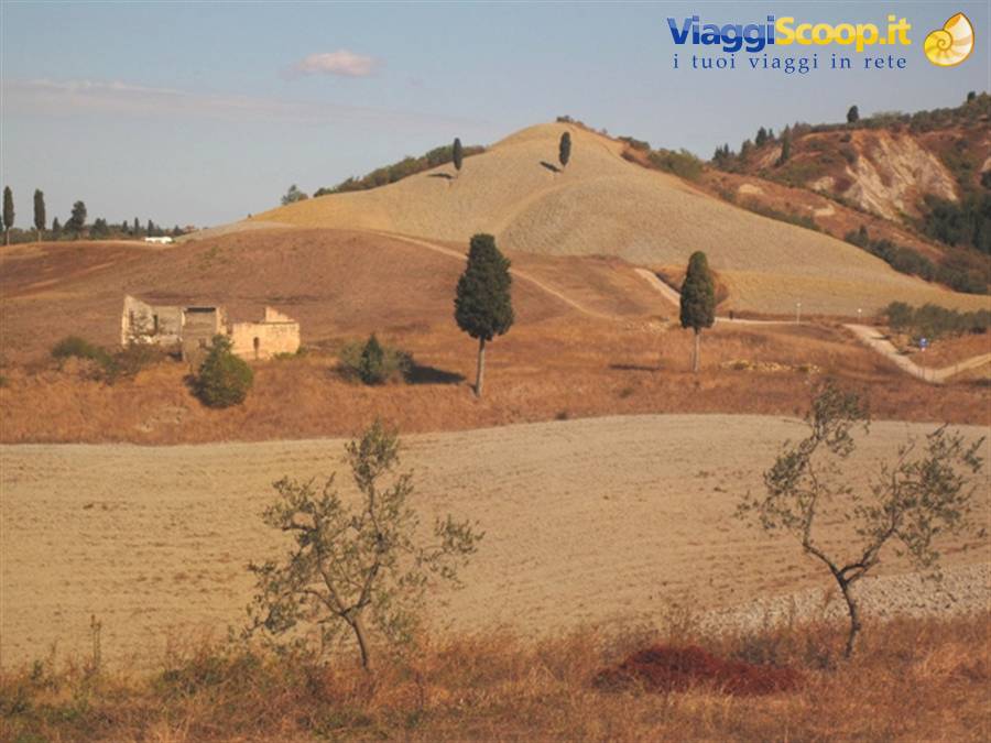 Campagna toscana a Certaldo Alto (FI) panorama di Toscana, autunno in Toscana
