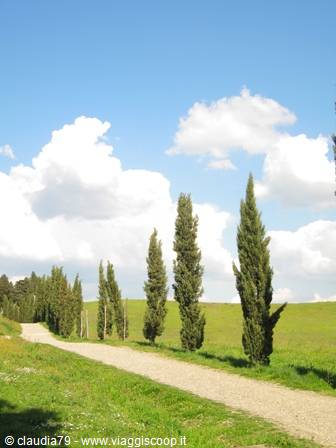 Campagna toscana a Certaldo Alto (FI) panorama di Toscana, primavera in Toscana