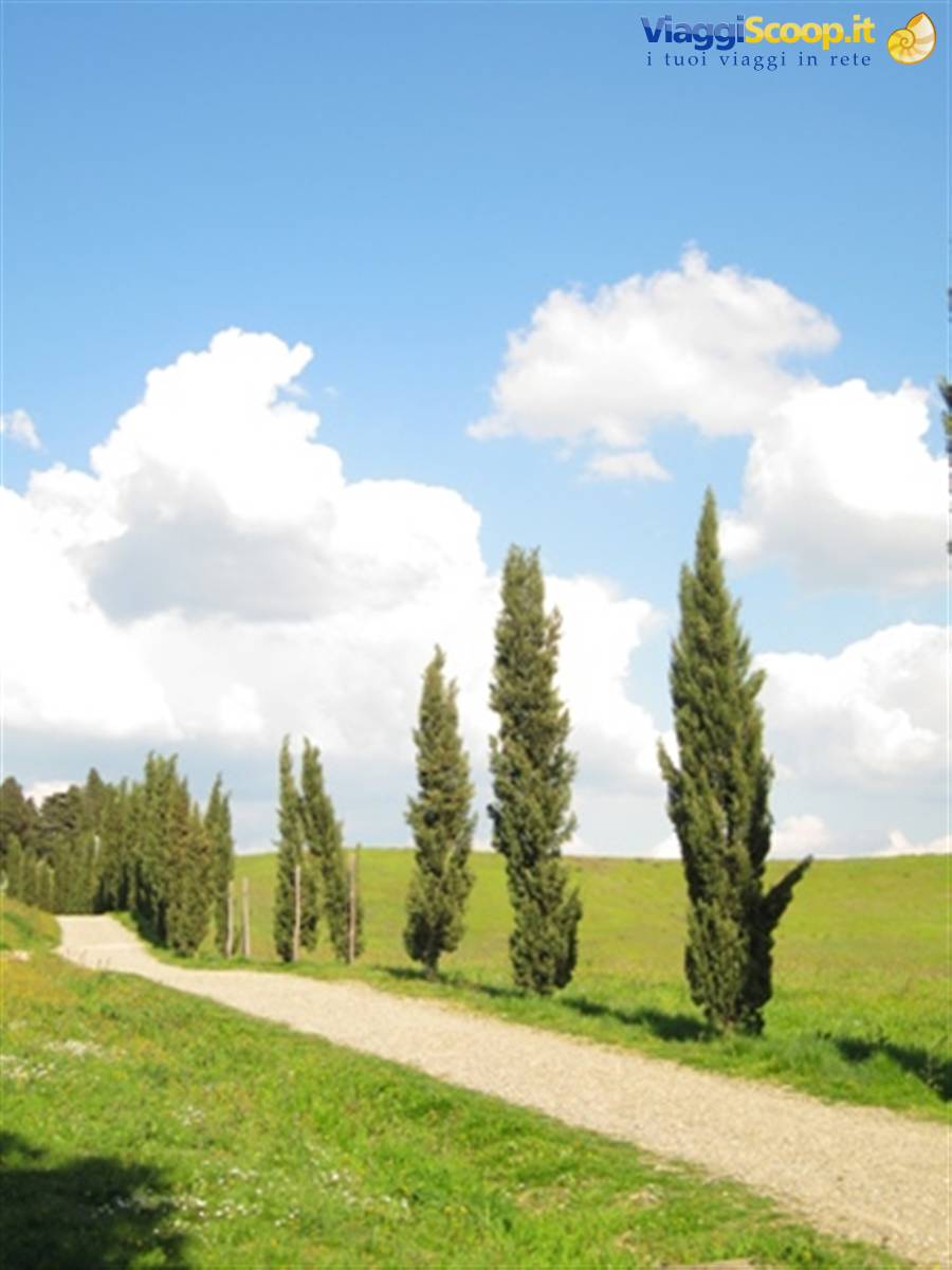 Campagna toscana a Certaldo Alto (FI) panorama di Toscana, primavera in Toscana