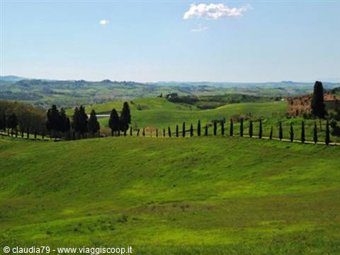 Campagna toscana a Certaldo Alto (FI) panorama di Toscana, primavera in Toscana