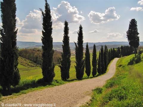 Campagna toscana a Certaldo Alto (FI) panorama di Toscana, primavera in toscana