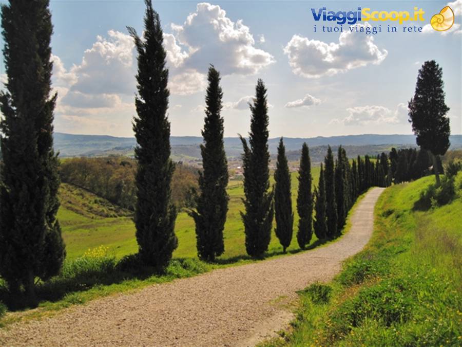 Campagna toscana a Certaldo Alto (FI) panorama di Toscana, primavera in toscana