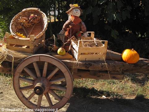 Sapori e colori d'autunno in Toscana. Borgo medievale di Certaldo Alto (FI)