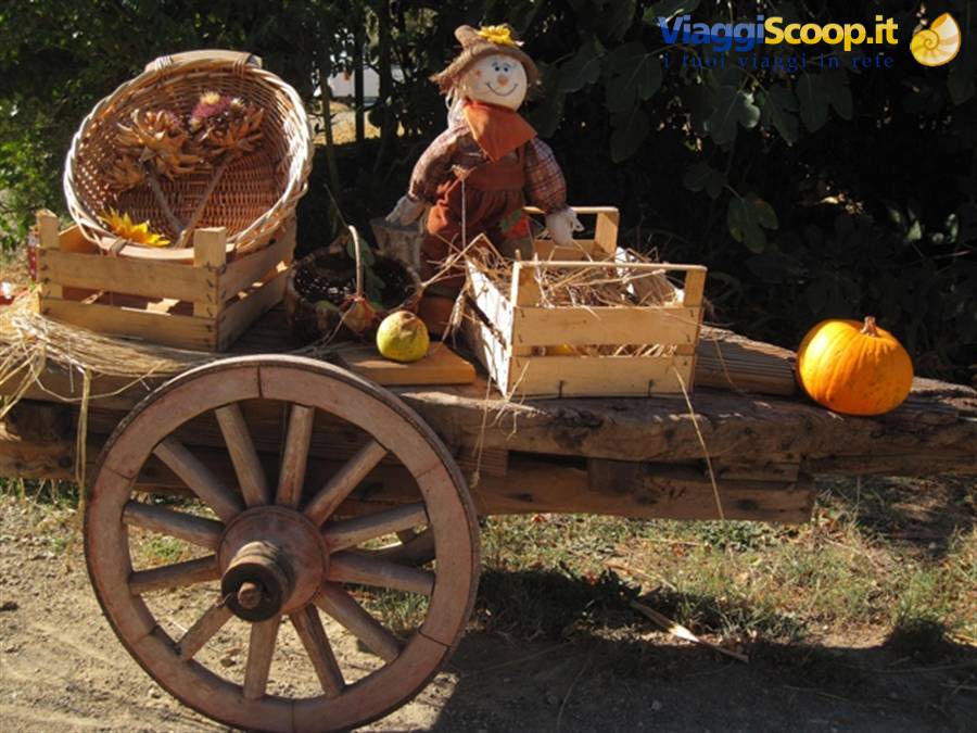 Sapori e colori d'autunno in Toscana. Borgo medievale di Certaldo Alto (FI)