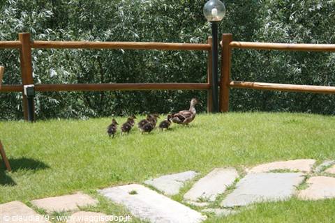Vacanza in Toscana. L'Hotel Certaldo in Toscana nel cuore del Chianti.Un antico mulino del 1500