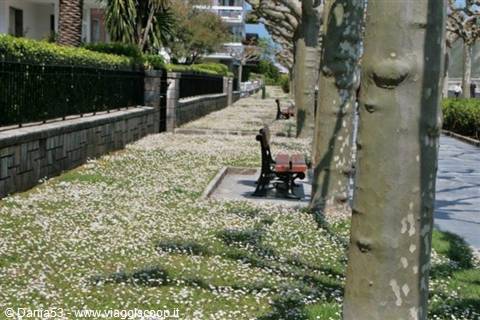 Zumaia