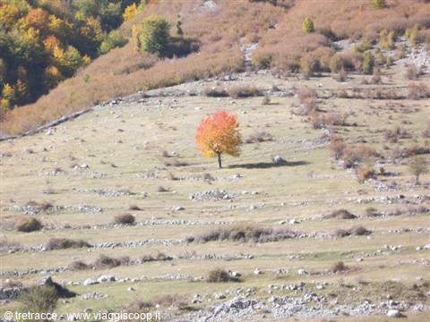 Autunno in Albania