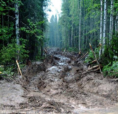 una terribile pista di boscaioli