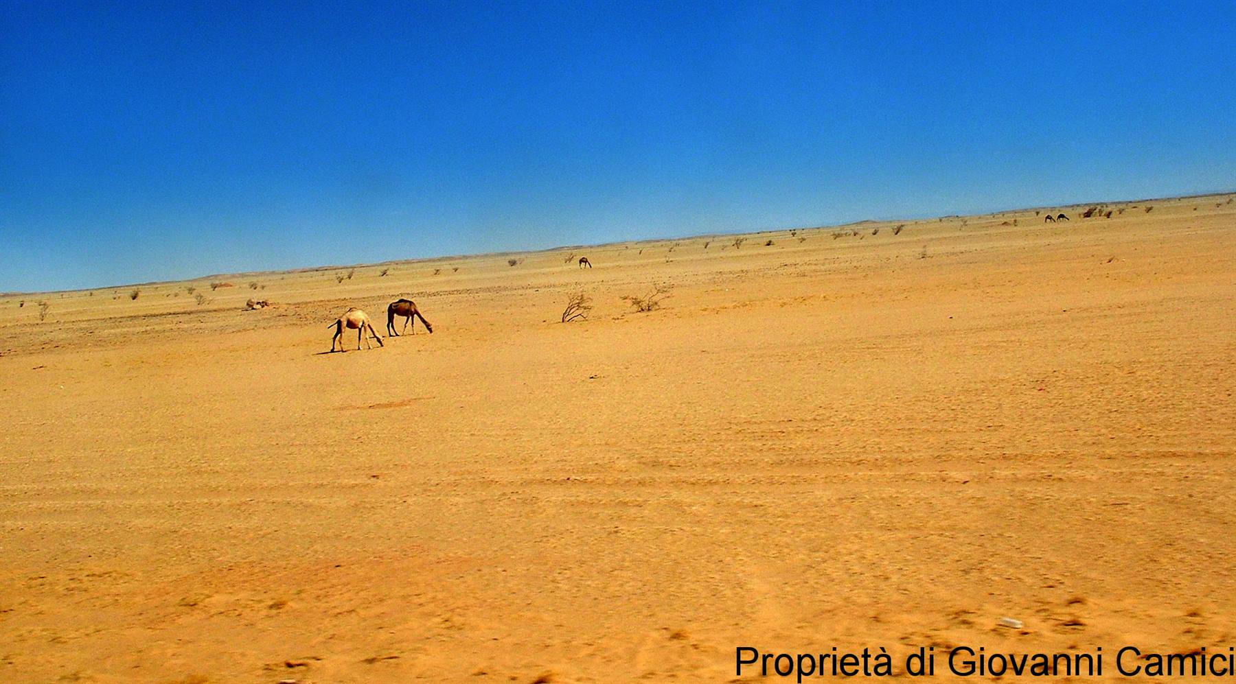 DESERTO DEL RAMLAT AS- SAB'ATAYN