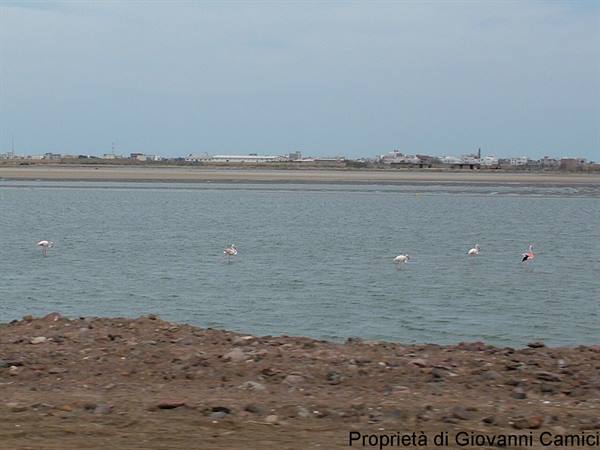 ADEN