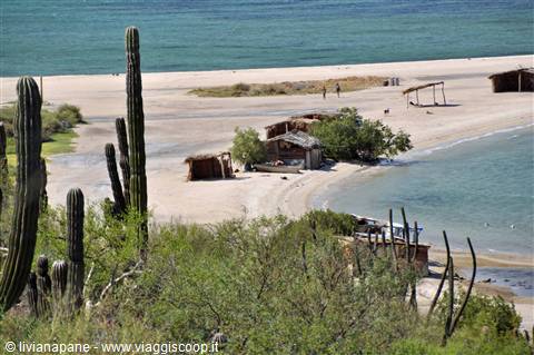 spiaggia in Baja conception