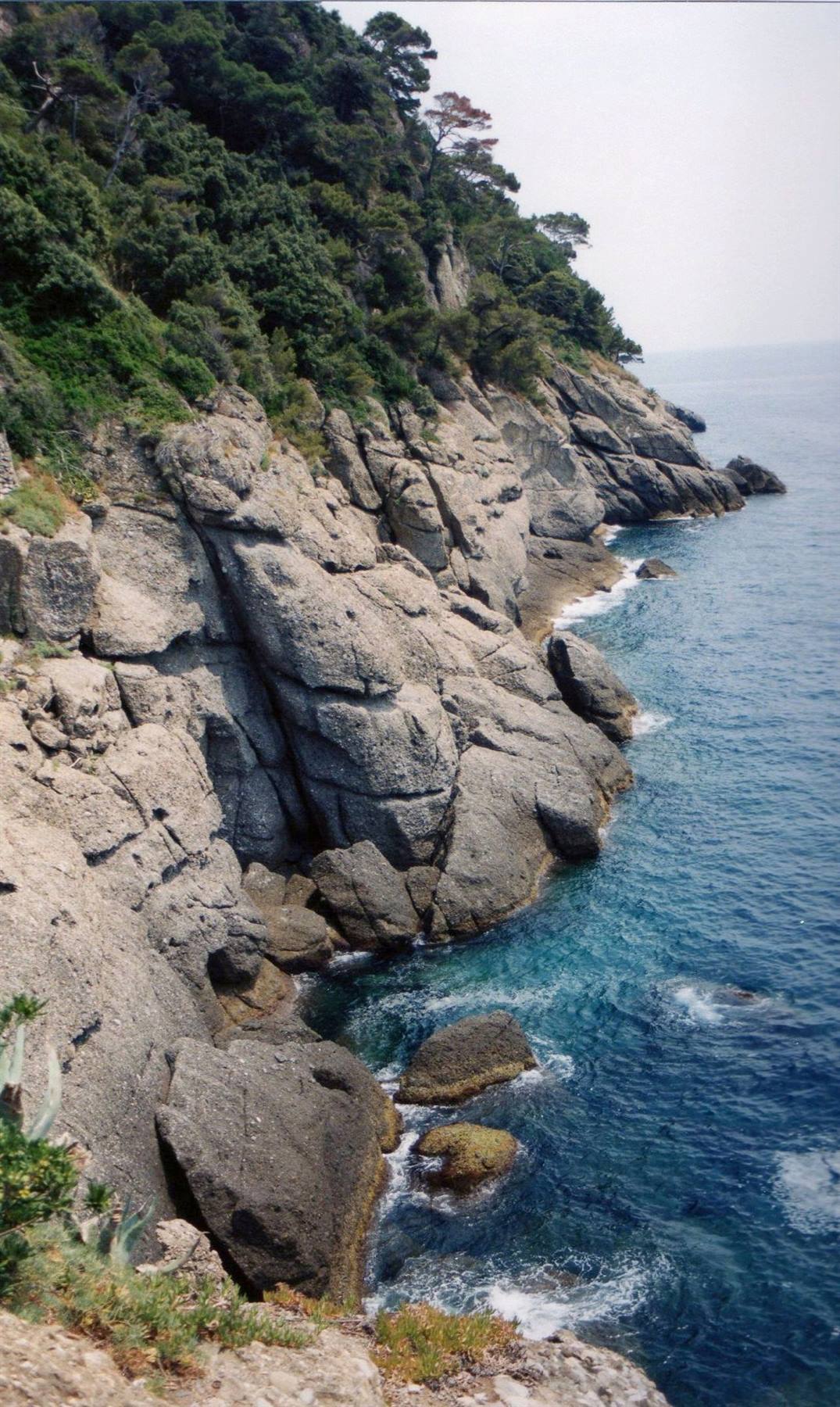 scogliera a Portofino