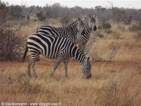 Zsavo East National Park