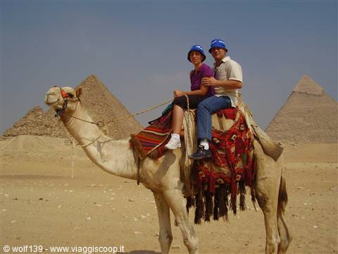 IL CAIRO